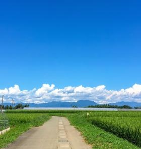 ＤＸを活用して地方＆農業の活性化支援します