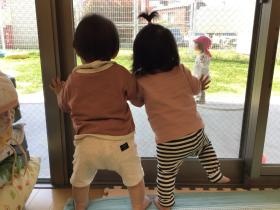 １歳児のお外遊びを見つめるゼロ歳児クラスのお友達