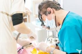 しっかりとした研修もあります