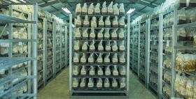 菌床きのこブロック製造