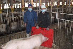 農場内の作業３