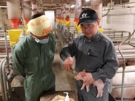 農場内の作業２