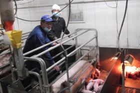 農場内の作業１