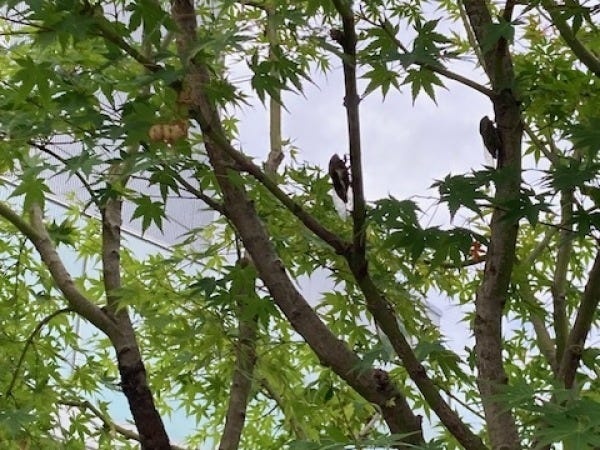 総務（車通勤可）