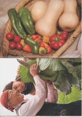 事業所の情報＿００６