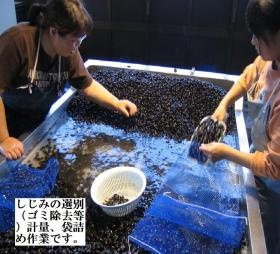 事業所の情報＿００１