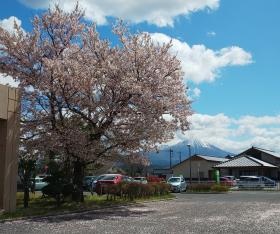グループホームみのりの里、大山を望む