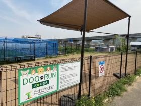 大型犬用ドッグラン
