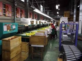 事業所の情報＿００５