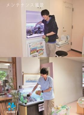 メンテナンス作業１