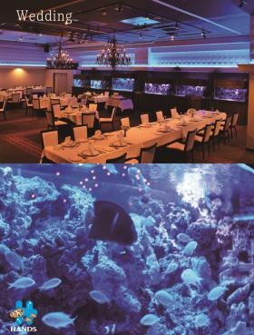 Ｗｅｄｄｉｎｇ