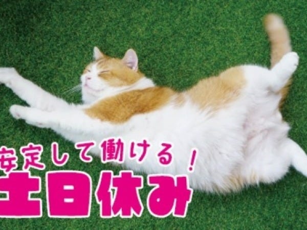 物流事務・半導体関連倉庫の検品事務