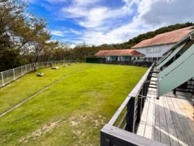 お部屋側のテラスガーデン