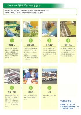 パッケージサラダができるまで