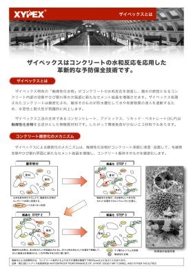 ザイペックスの結晶増殖技術を紹介しています。