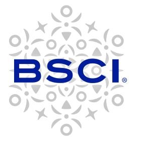 ブランドロゴ（ビサイ）