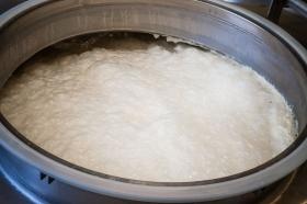 土佐鶴酒造株式会社 醪