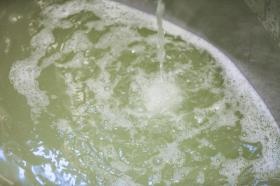 土佐鶴酒造株式会社 搾り