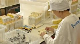 製品の包装作業（軽作業）画像です