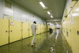 取れた種卵を孵卵器に入れてヒヨコに孵します