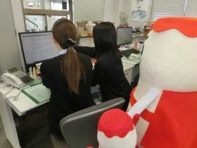 先輩社員がサポートします