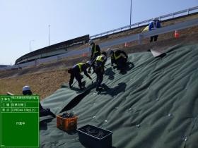 防草シート張り