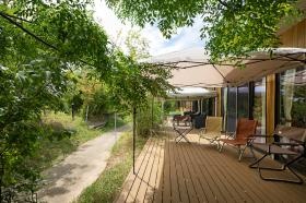 ふくろうの家の庭は緑でいっぱい