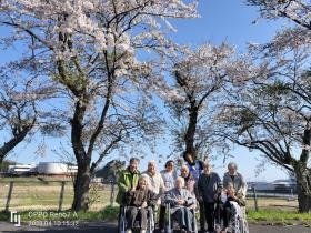 桜の木の前で記念撮影