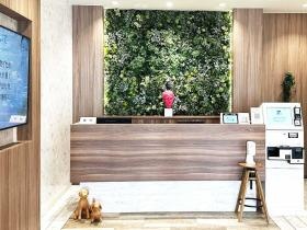 八王子クリニック新宿院：受付