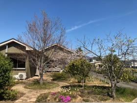 こもれびの里 中庭遊歩道