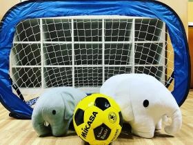 みんなサッカーが好き