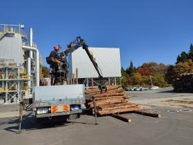バイオマス発電所内の木材仕分け作業