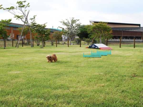 わんちゃんが楽しく遊べる広い芝生のドッグランもあります