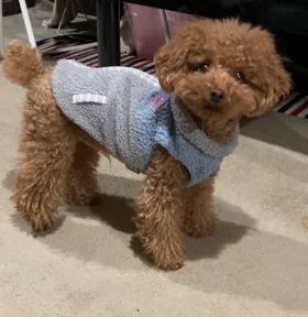 癒し担当スタッフ