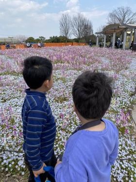 ほうせん 津島２「木曾三川公園 外出」