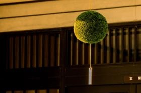 土佐鶴酒造株式会社 杉玉