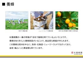 事業所の情報（養蜂）