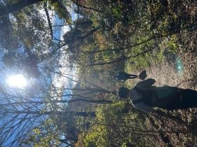 行事：筑波山登山