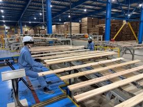 ライン上の木板を品質検査する業務風景