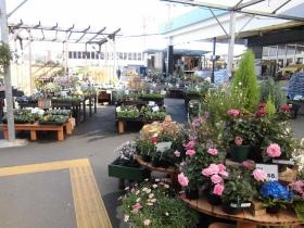 事業所の情報＿００２