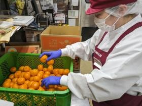 事業所の情報＿００６