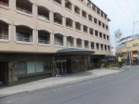 かいごの花みずき