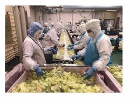 松本第２＿作業風景２