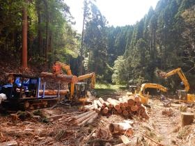 作業風景＿００３