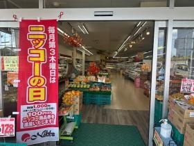 毎月第３木曜日はニッコーの日です。