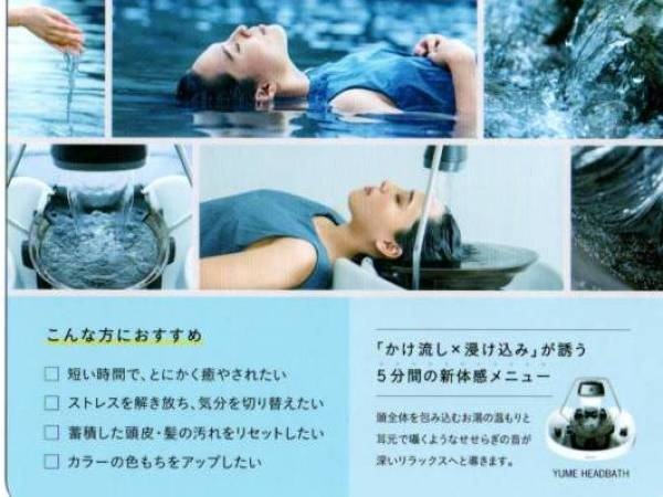 いくつかある人気スパの中から頭浸浴の紹介です。血行が良くなり温泉に浸かったような心地で全身温まります。スパニストはこれらを行います。