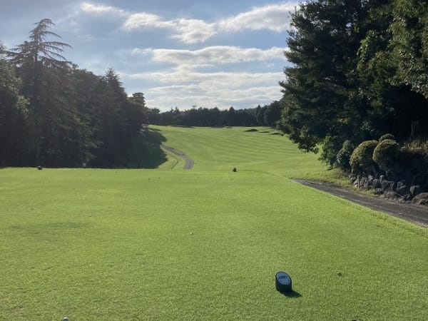 キャディー（特になし）