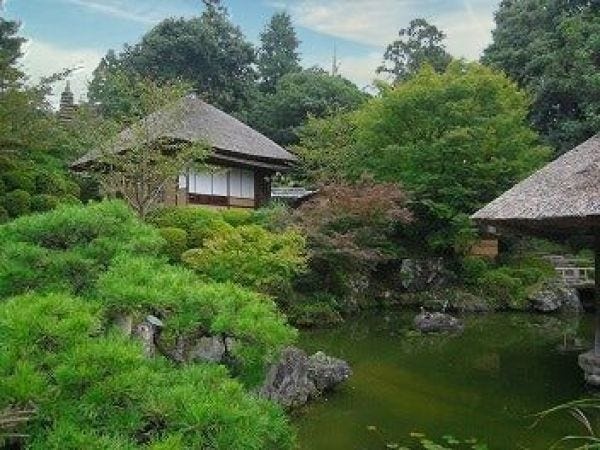 豊臣秀吉の甥の名前のついた茅葺茶室、東山大茶会で利用された茶室など３棟あるロケーションです。