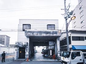 弊社入口からの景観です。