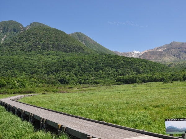センターのすぐ目の前にはラムサール条約登録湿地のタデ原湿原が広がっています。タデ原の開花情報収集や動植物の調査事業なども行っています。